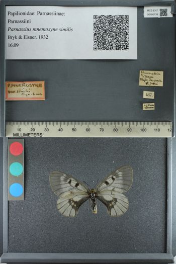Media type: image;   Entomology 180139
